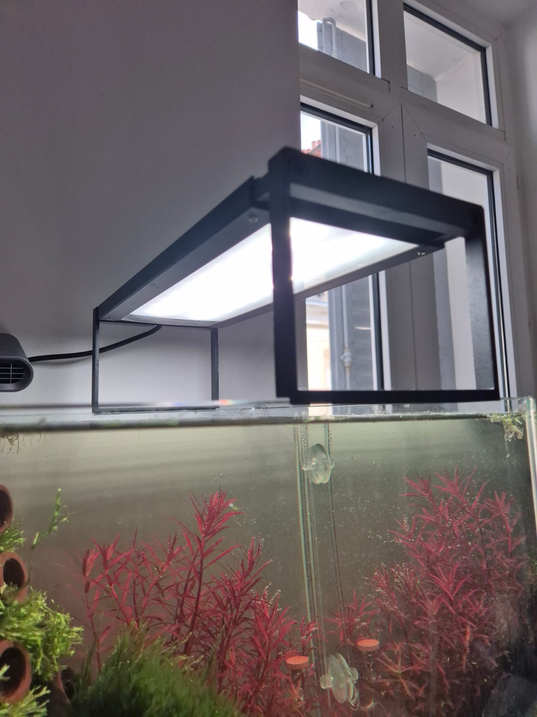 Customer photo review of Chihiros WRGB II Slim LED Light