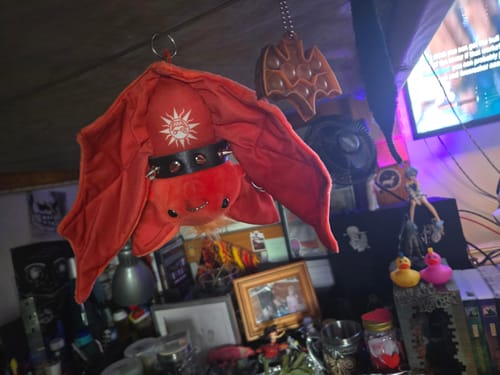 Customer photo review of PUNK BAT PLUSHIES