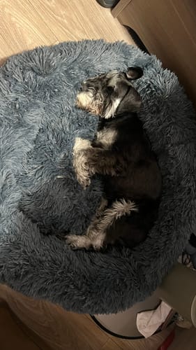 Customer photo review of Puppery Hundebett Wolke 7 - Das Original