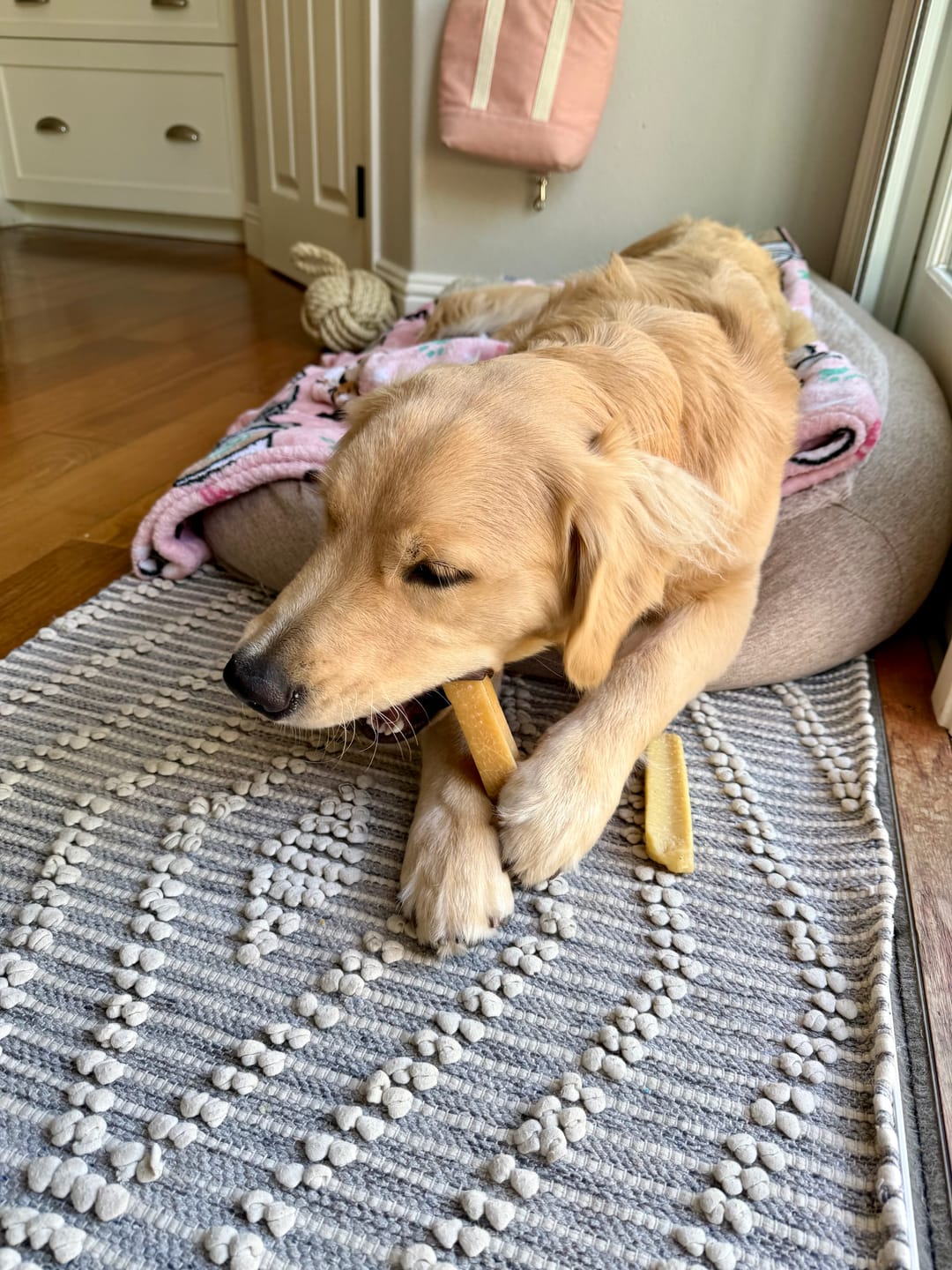 Customer photo review of Himalayan Yak Chew (MEDIUM)
