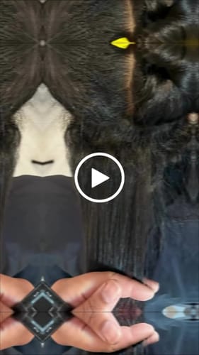 Kyle L. review of Nanoplex Arginina™ Hair Straightening Nanoplastia Protein 1L/1000ml (33.8 fl. oz) image 1 out of 1