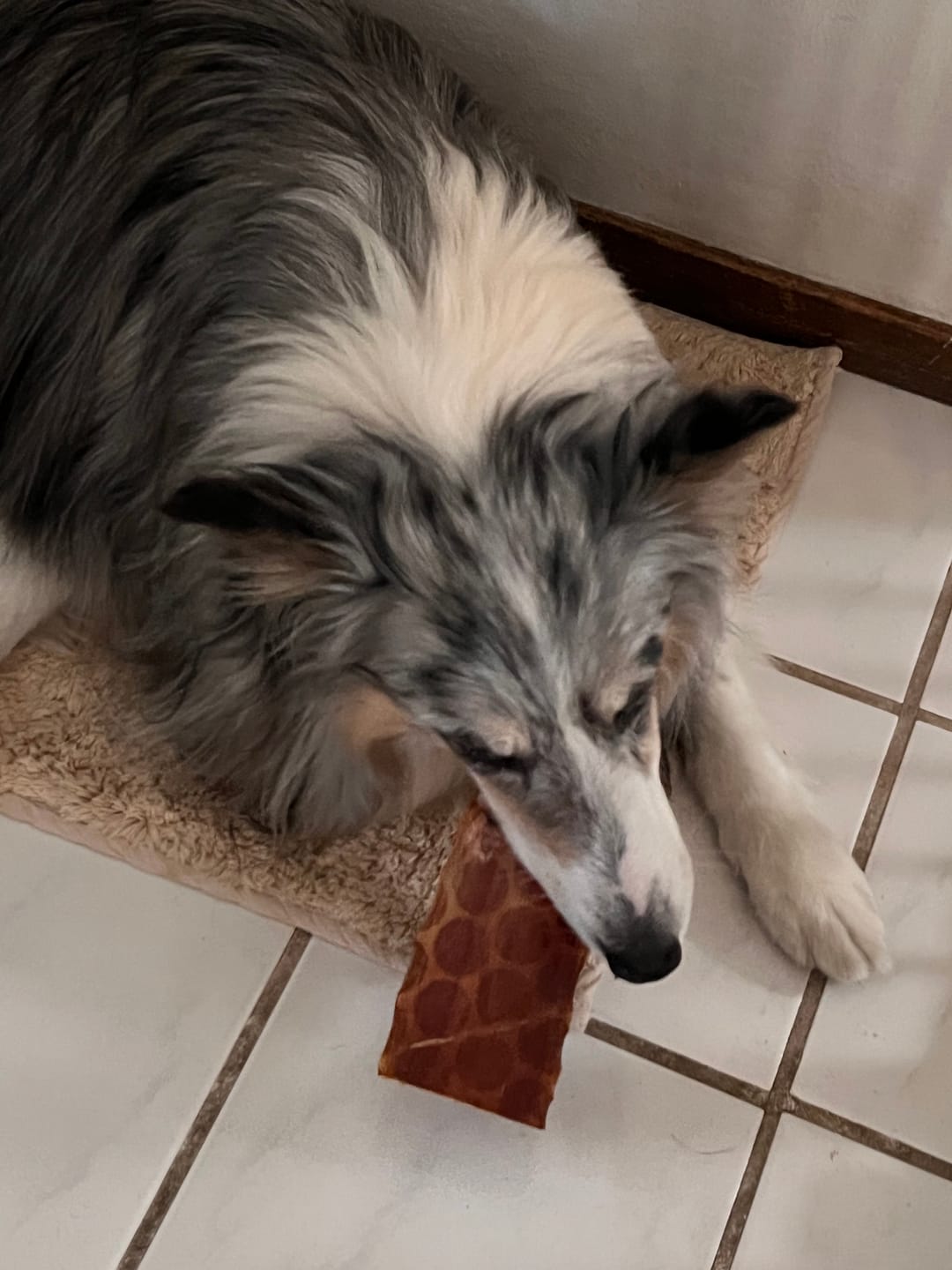 Customer photo review of 6 Inch Beef Jerky Strip