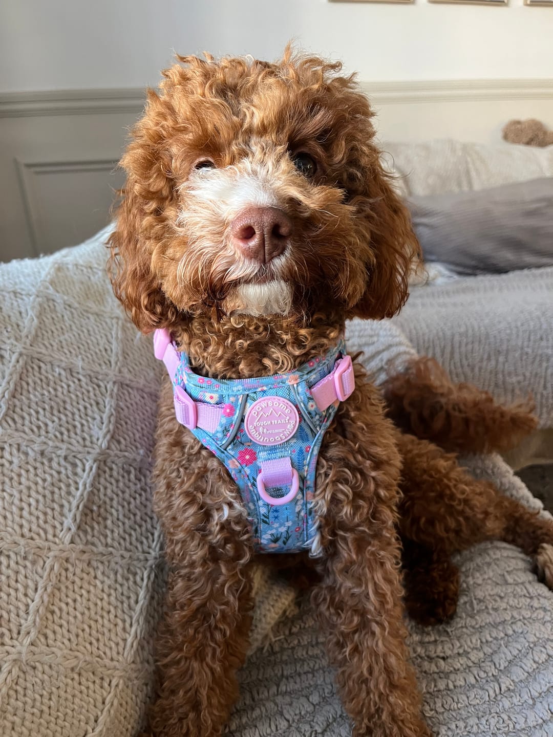 Customer photo review of Tough Trails™ Harness -  Whimsical Wildflowers