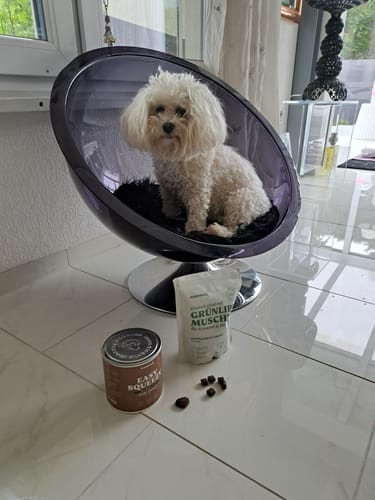 Customer photo review of Easy Squeezy