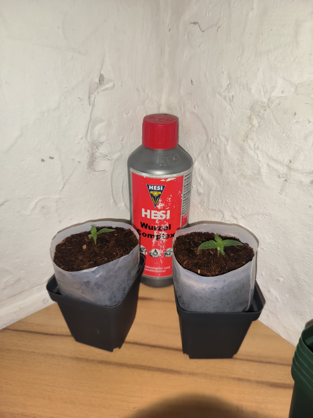 Customer photo review of Hesi Wurzel-Complex
