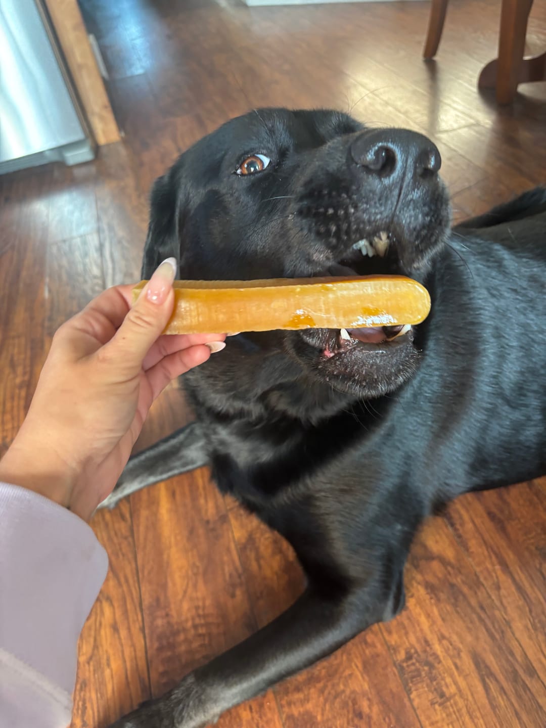Customer photo review of Himalayan Yak Cheese Chew Dog Treat