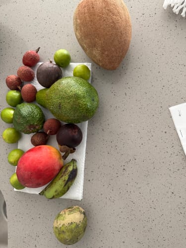 Customer photo review of Tropical Variety Box