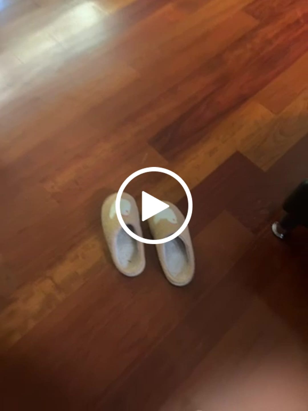 Customer video review of Brown Fuzzy Chicken Slippers - Adult