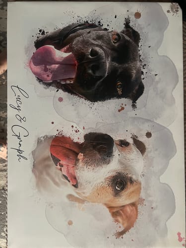 Customer photo review of Πορτραίτο Κατοικίδιου - Νερομπογιά