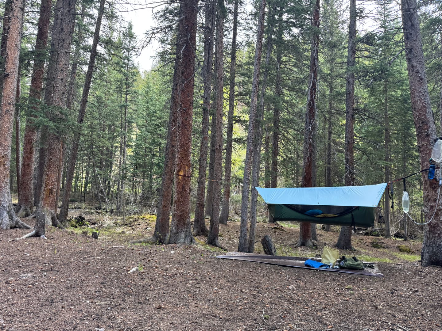 Customer photo review of Haven Tent