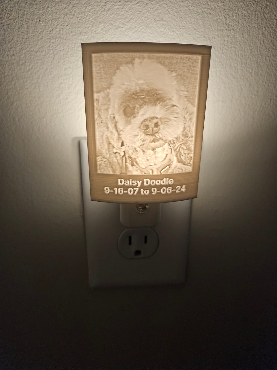 Customer photo review of Memory Frame™ Personalized Night Light