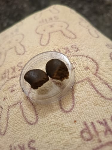 Customer photo review of Hi Bros® -  Gorilla Glue #4 (Choco)
