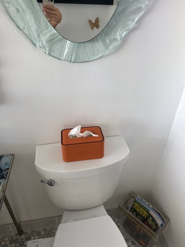 Customer photo review of CUSTOM HERMES TISSUE BOX COVER