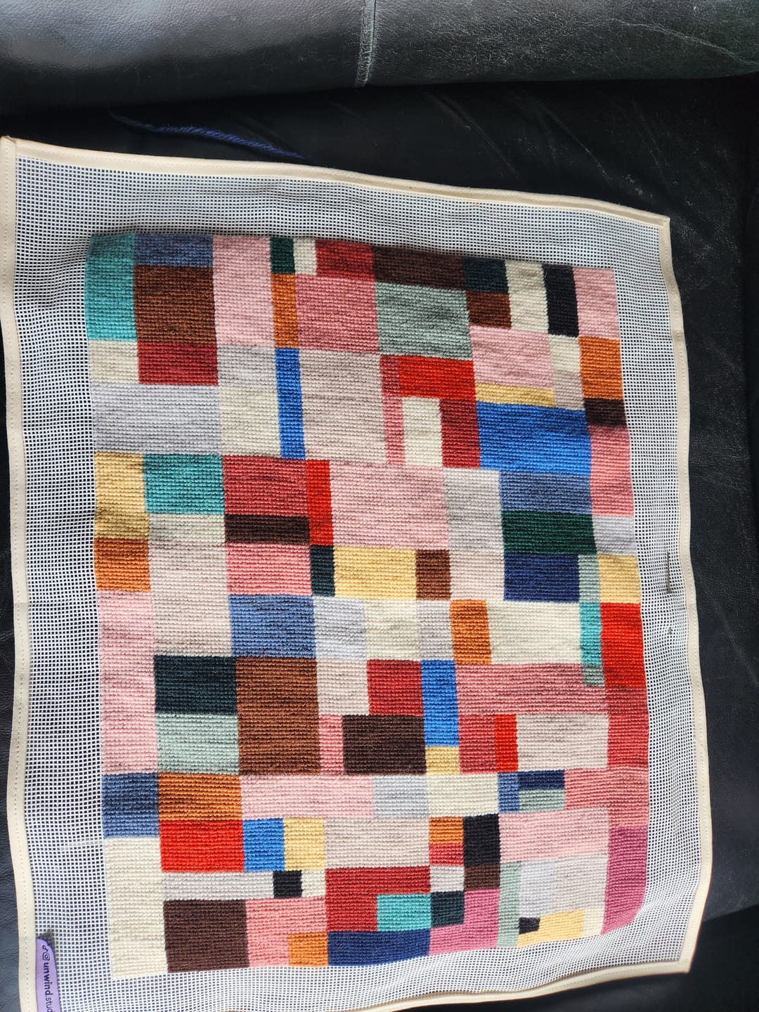 Customer photo review of Couto Needlepoint Kit