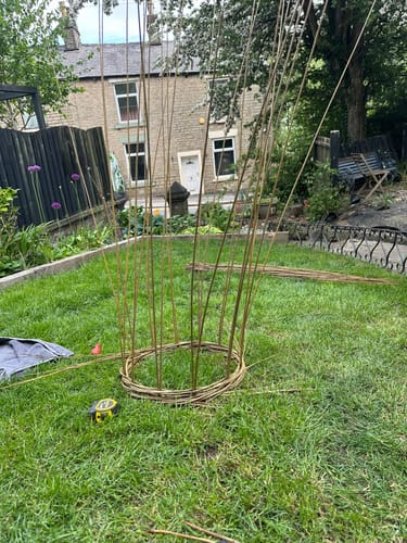 Customer photo review of The Willow Plant Support - Course and Kit