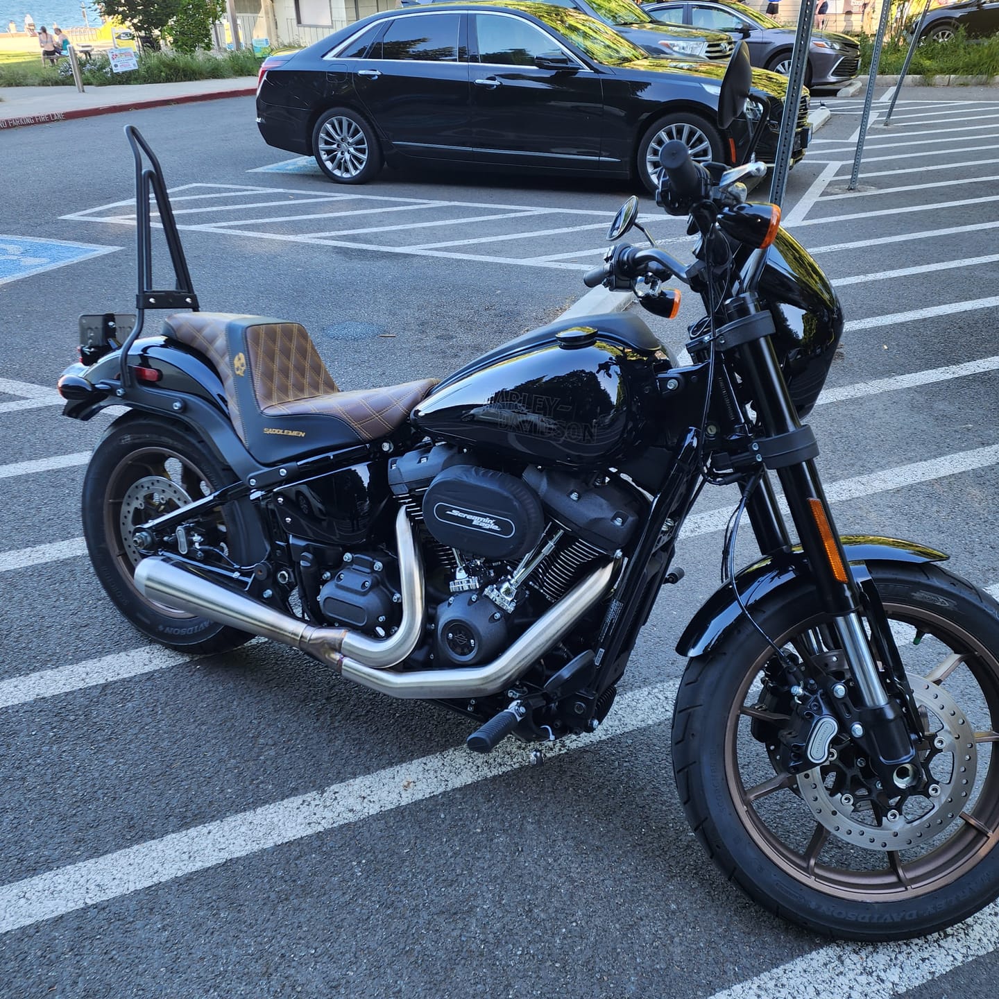 Customer photo review of Iron Born Blade 25" Sissy Bar with Foldable Luggage Rack for Harley Softail Low Rider S FXLRS Matte Black