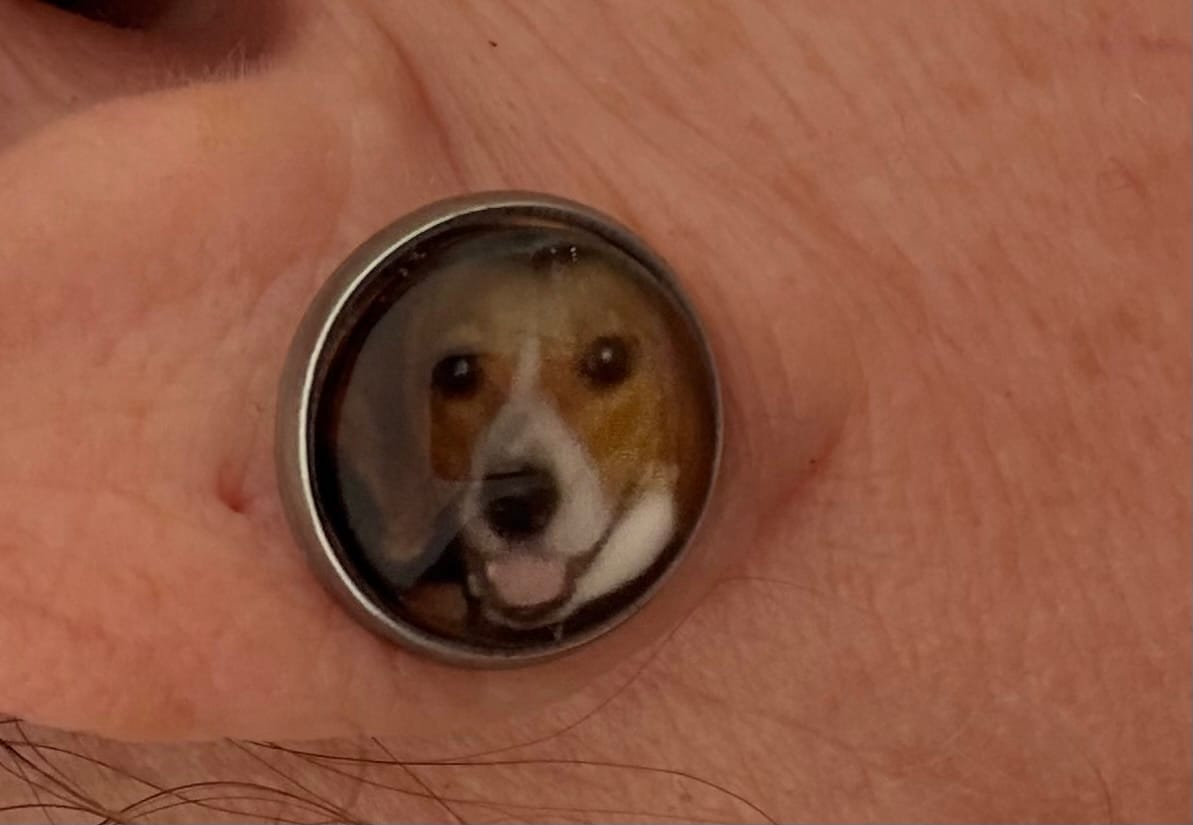 Customer photo review of Live Customization Glass Pet Stud Earrings