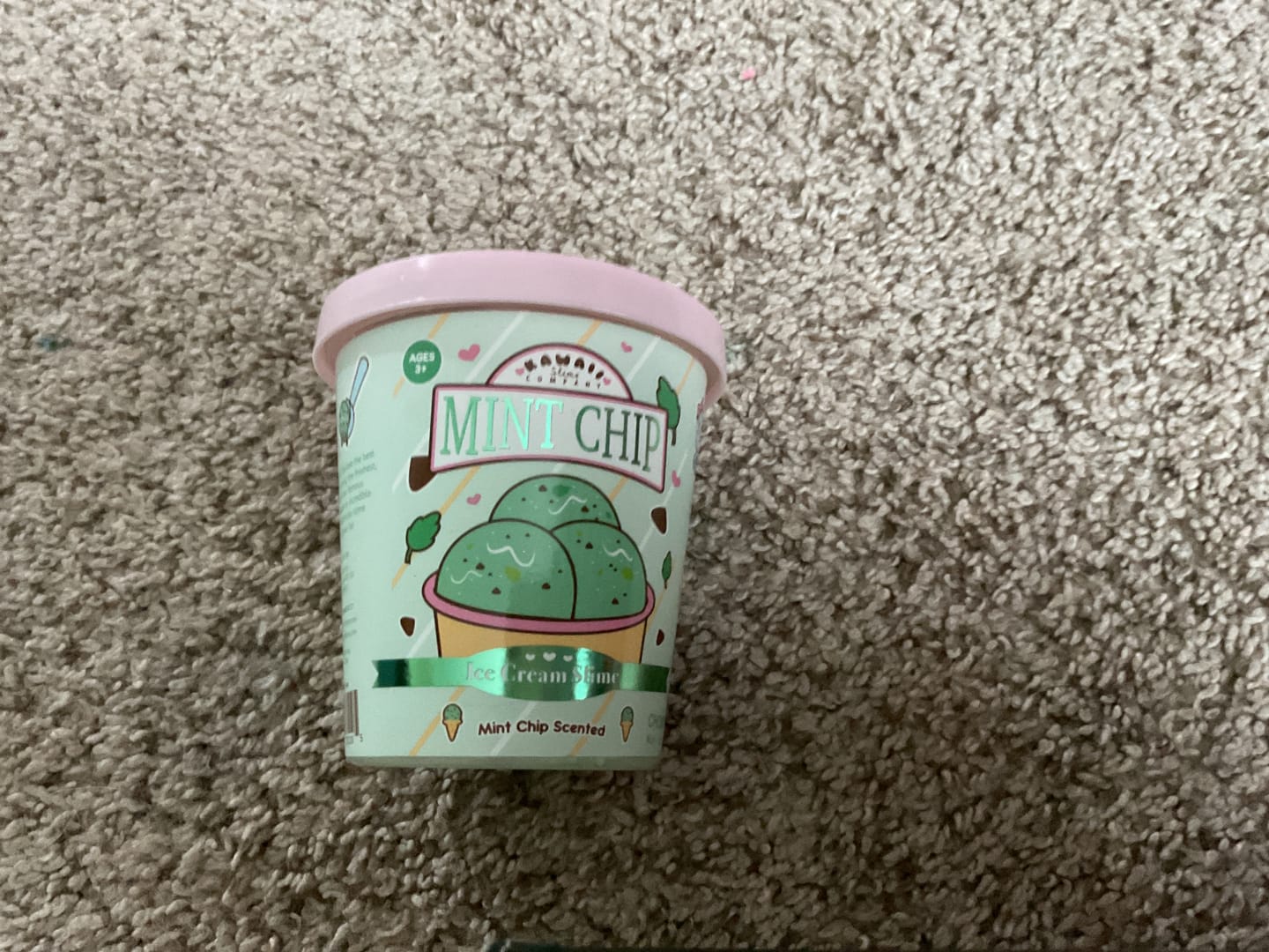 Customer photo review of Mint Chip Scented Ice Cream Pint Slime
