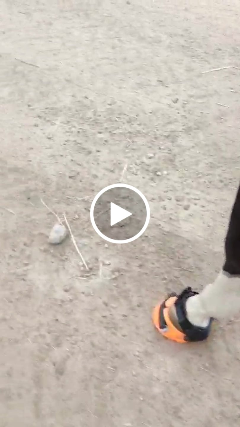 Customer video review of Renegade® Viper  Glow™ Hoof Boots - Jack o' Lantern