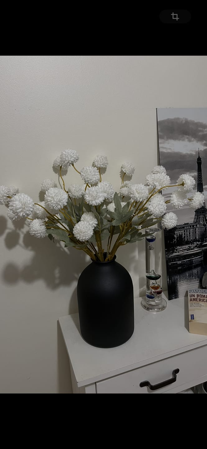 Customer photo review of Casa vase - Noir mat