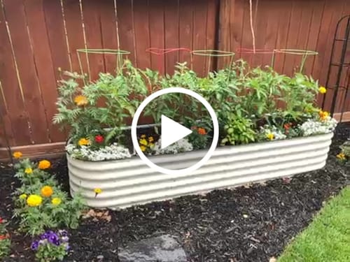 Customer video review of 17” Tall Modular 9 in 1