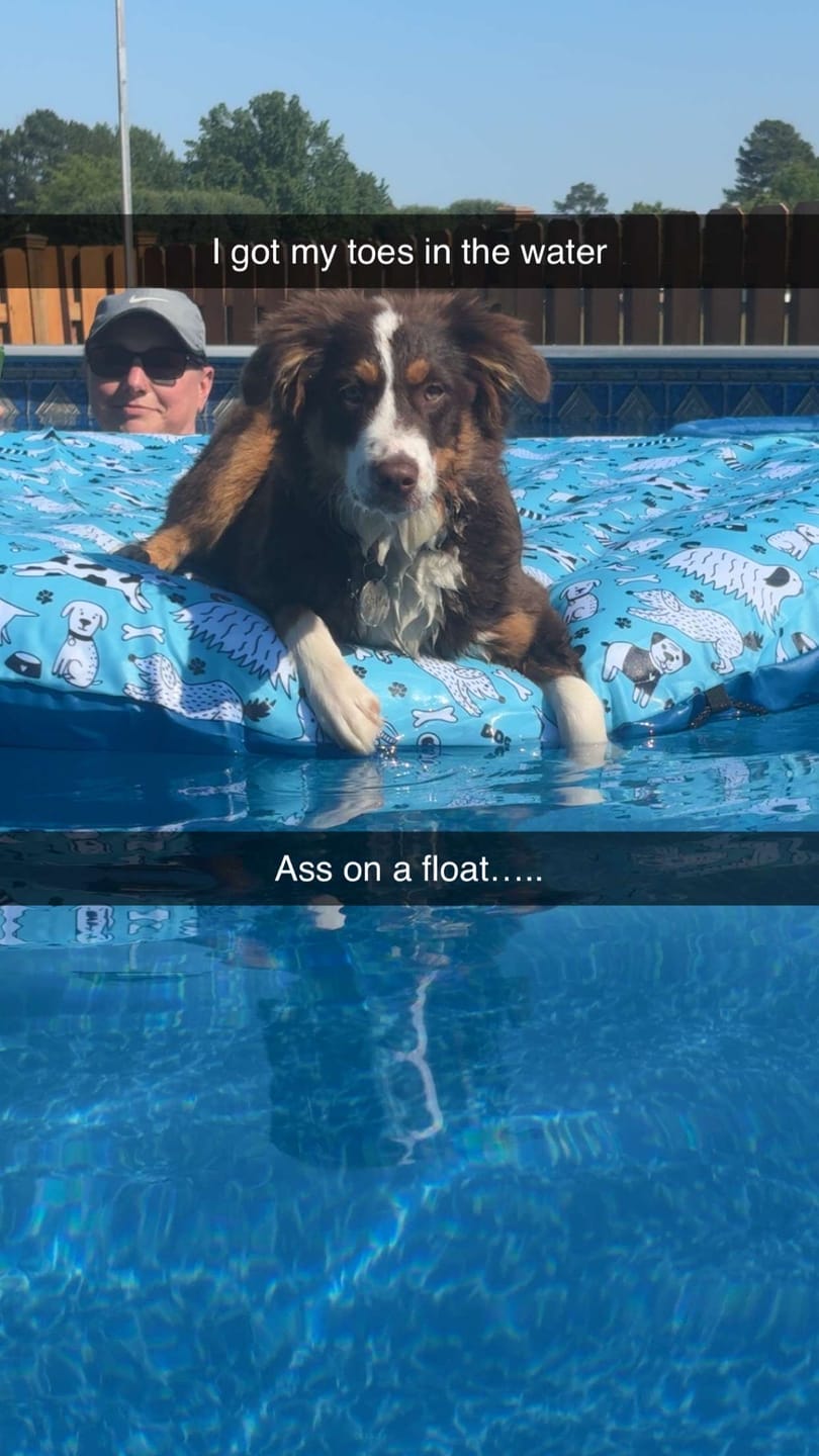 Customer photo review of Frog Leap Torpedo pac 01-03-7937 (6 pack)
