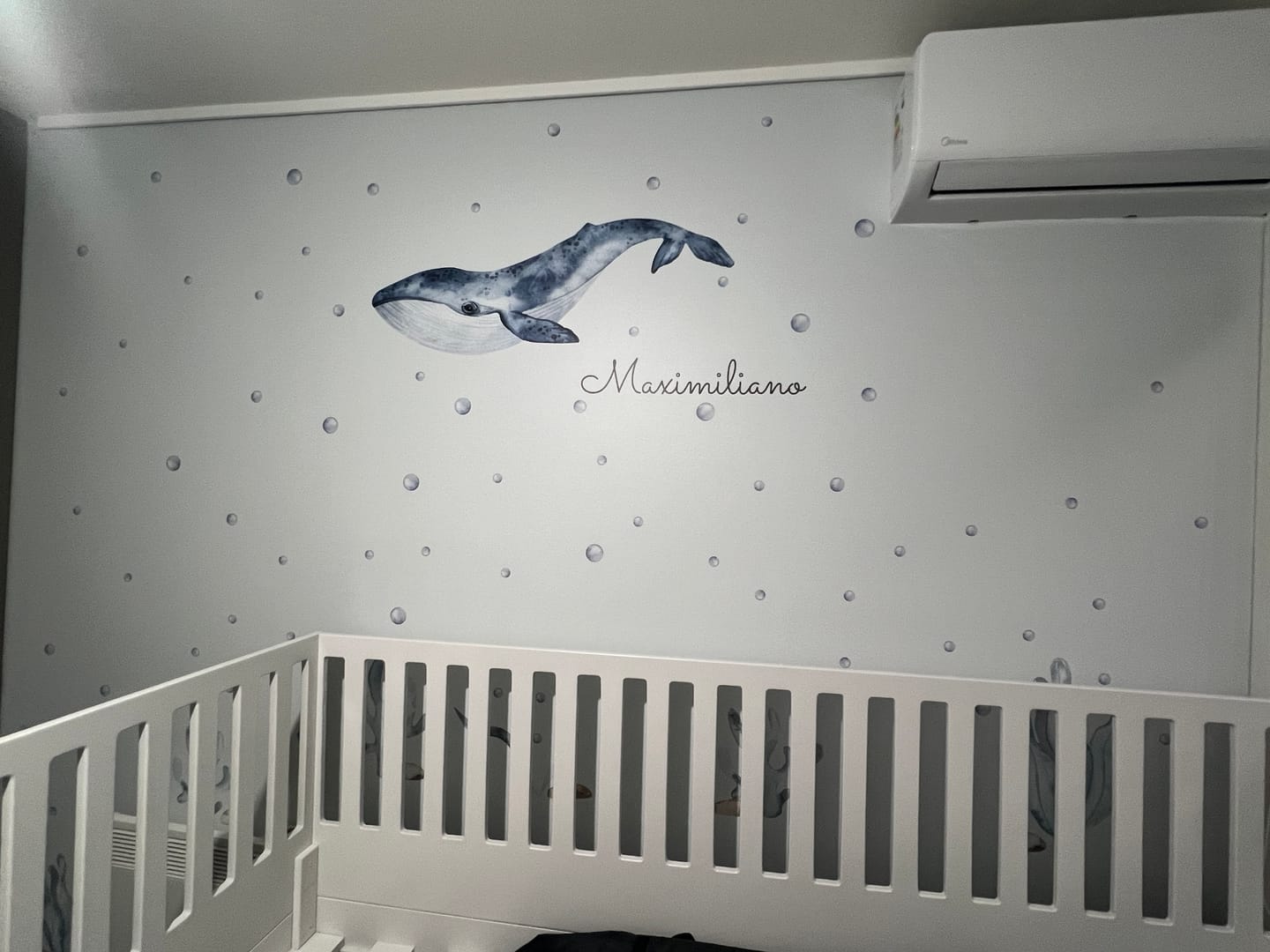 Customer photo review of Gran ballena