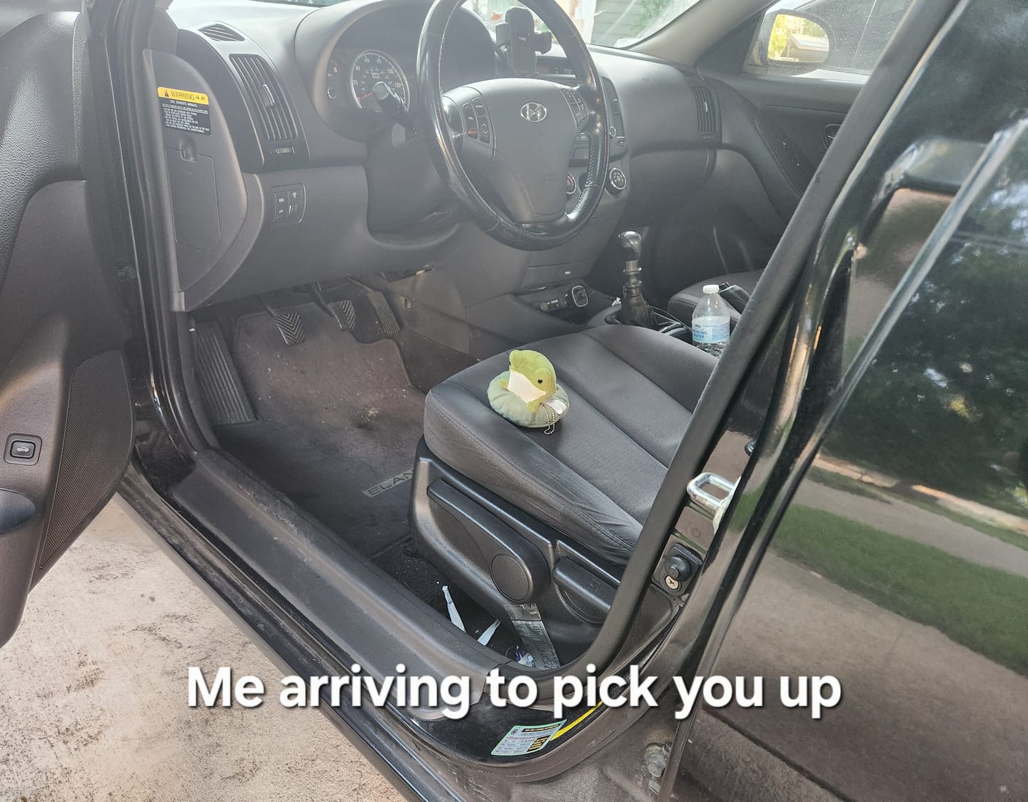 Customer photo review of Henry The Frog Sitting On Lily Pad