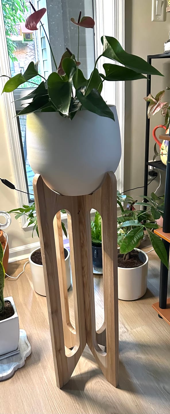 Customer photo review of Arches Plant Stand + Pot