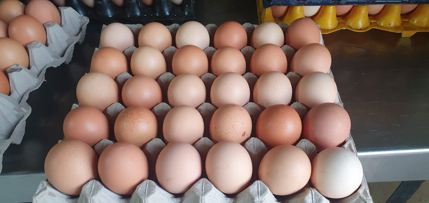 Customer photo review of Avi Plus Layer & Breeder (Supplement For Poultry, Ostriches, Emus & Pigeons)