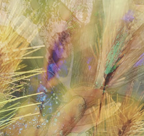 Customer photo review of 32x40 Gallery Wrapped Prints