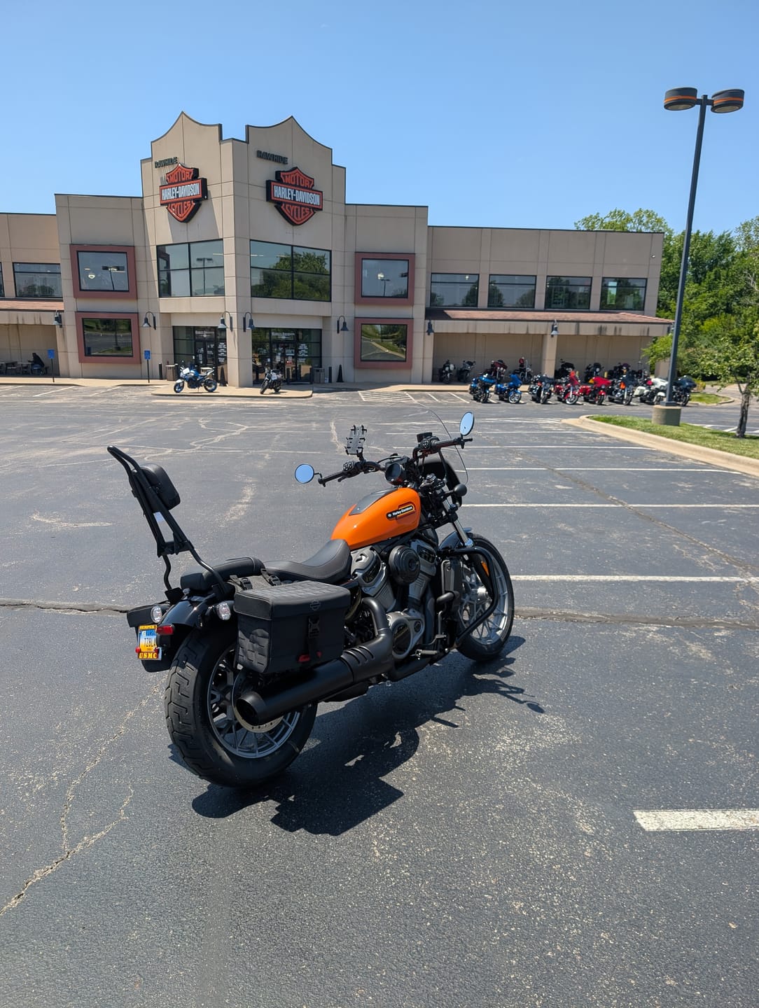 Customer photo review of Viking Iron Born Plain Leather Short Motorcycle Backrest Pad for Harley Davidson Foldable Sissy Bar