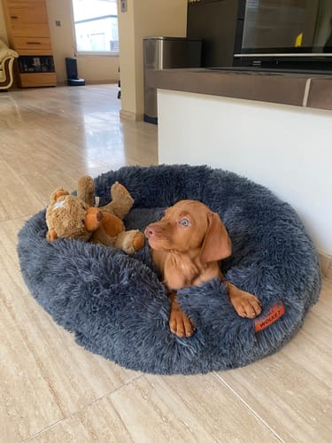 Customer photo review of Puppery Hundebett Wolke 7 - Das Original