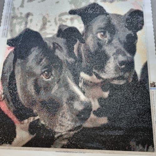 Customer photo review of Custom Diamond Painting