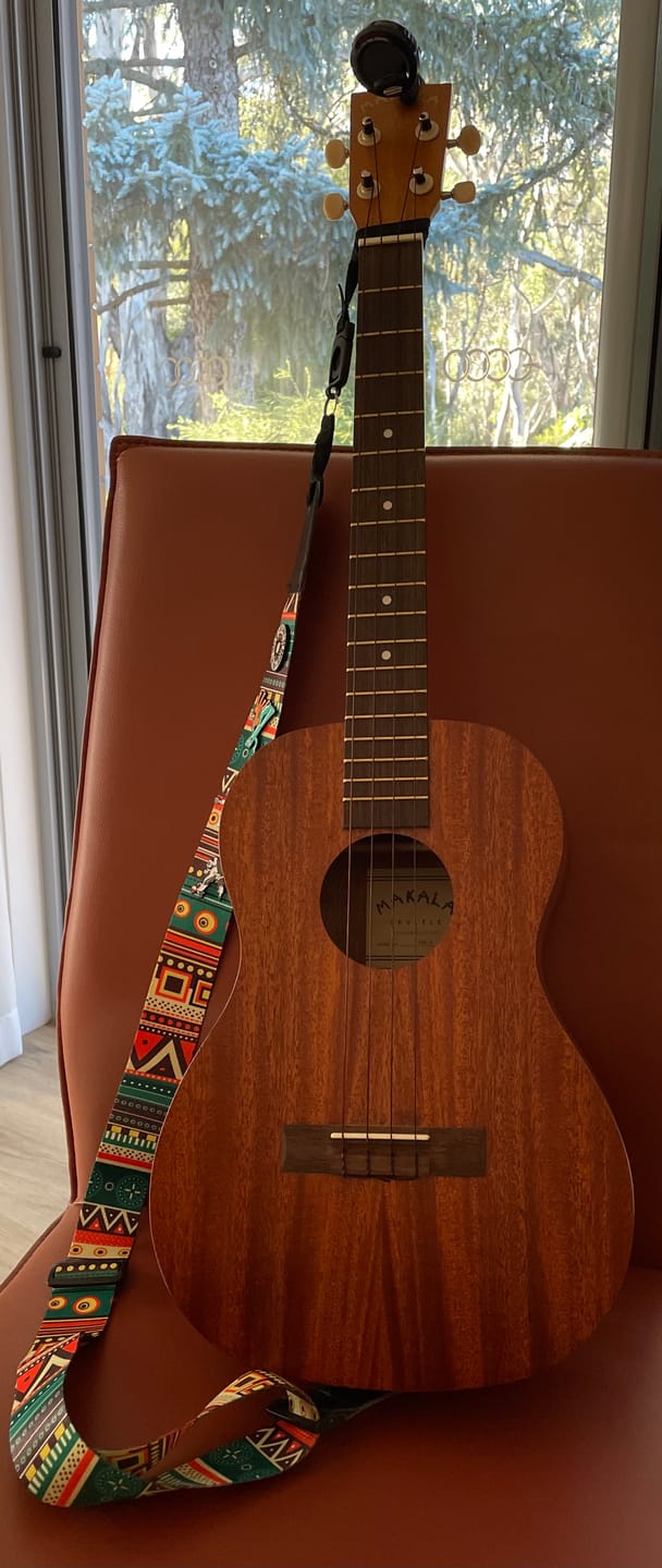 Customer photo review of BB Worth Brown Baritone Ukulele Strings DGBE Tuning Fluorocarbon 2 Restrings per Packet