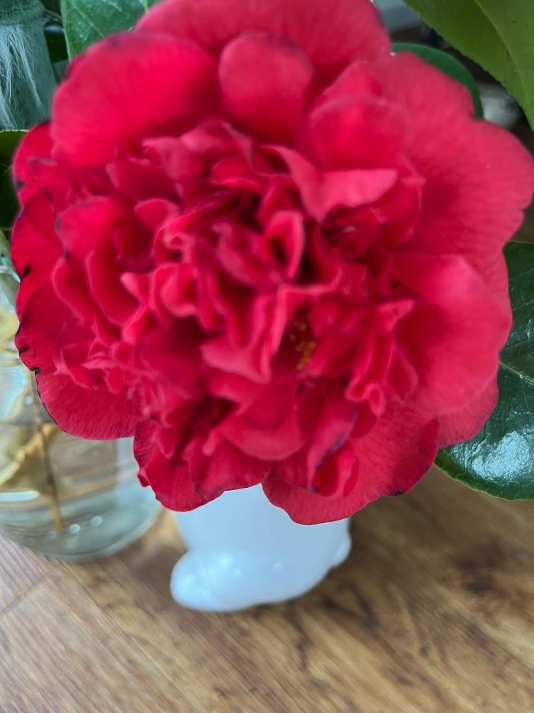Customer photo review of Bio Mini Schüttelbrot - 50g