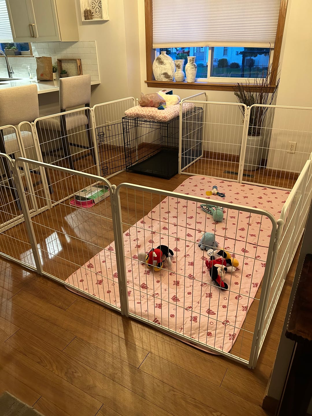 Customer photo review of Homeplus Dog Playpen for Indoor Use