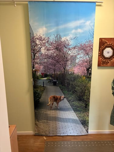 Customer photo review of Fotovorhang "Sonne strahlt durch den Wald"