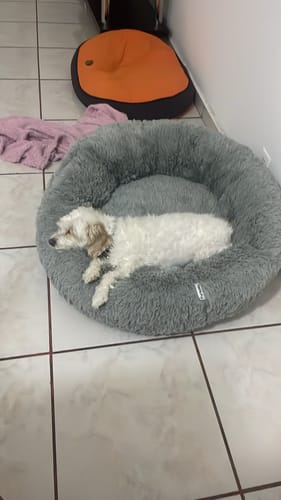 Customer photo review of Cama Antiestrés para Perros
