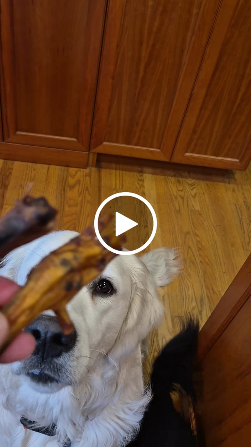 Customer video review of Dora's Smoked Chicken Feet