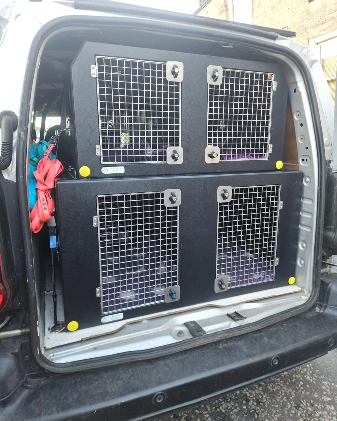 Customer photo review of Dog Van Kit | Citroën Berlingo | 2008-Present | Double stack | DT VS1