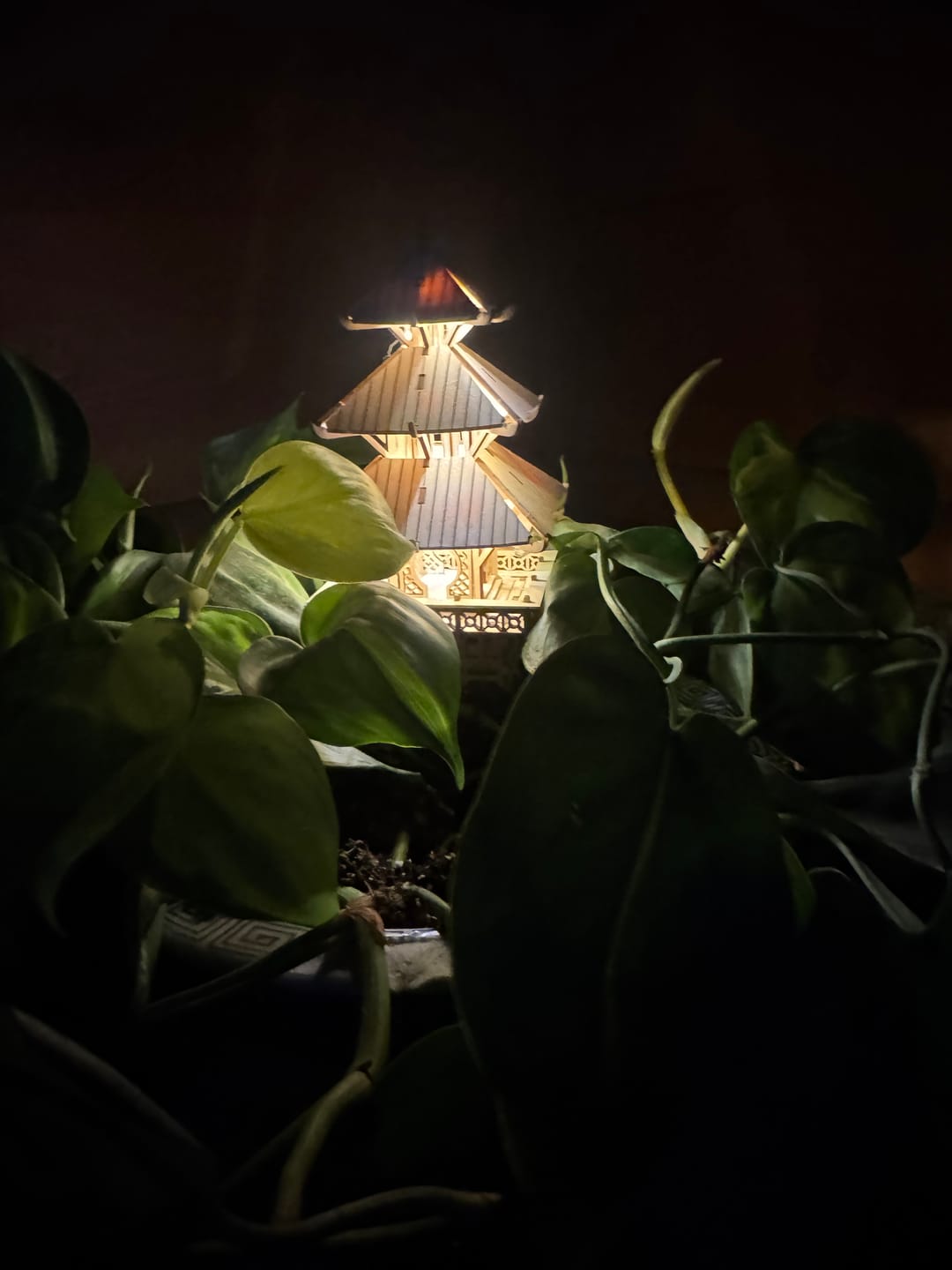 Customer photo review of Temple of Serenity