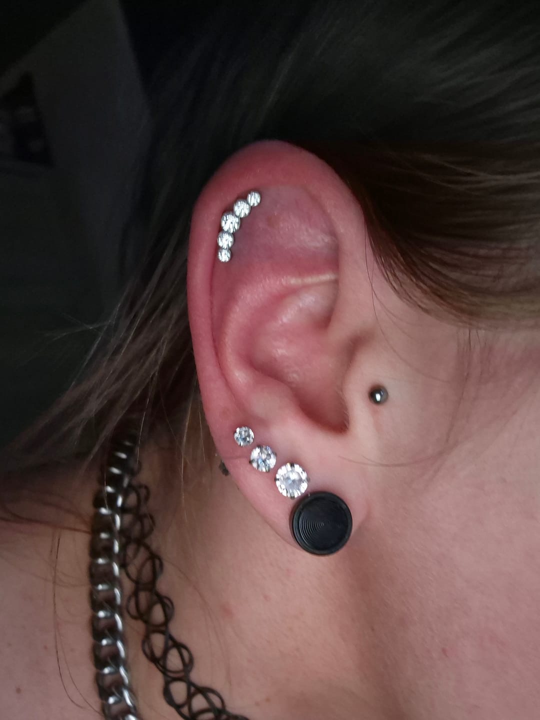 Customer photo review of Line Piercing | Titan