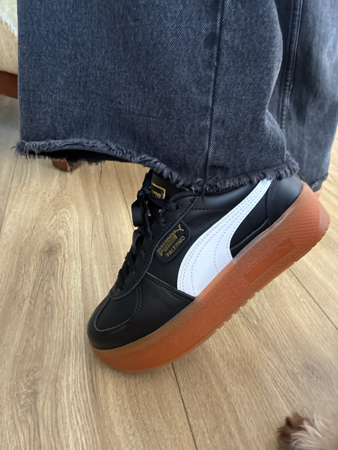Customer photo review of Zapatillas Puma Palermo Elevata Mujer Rosado