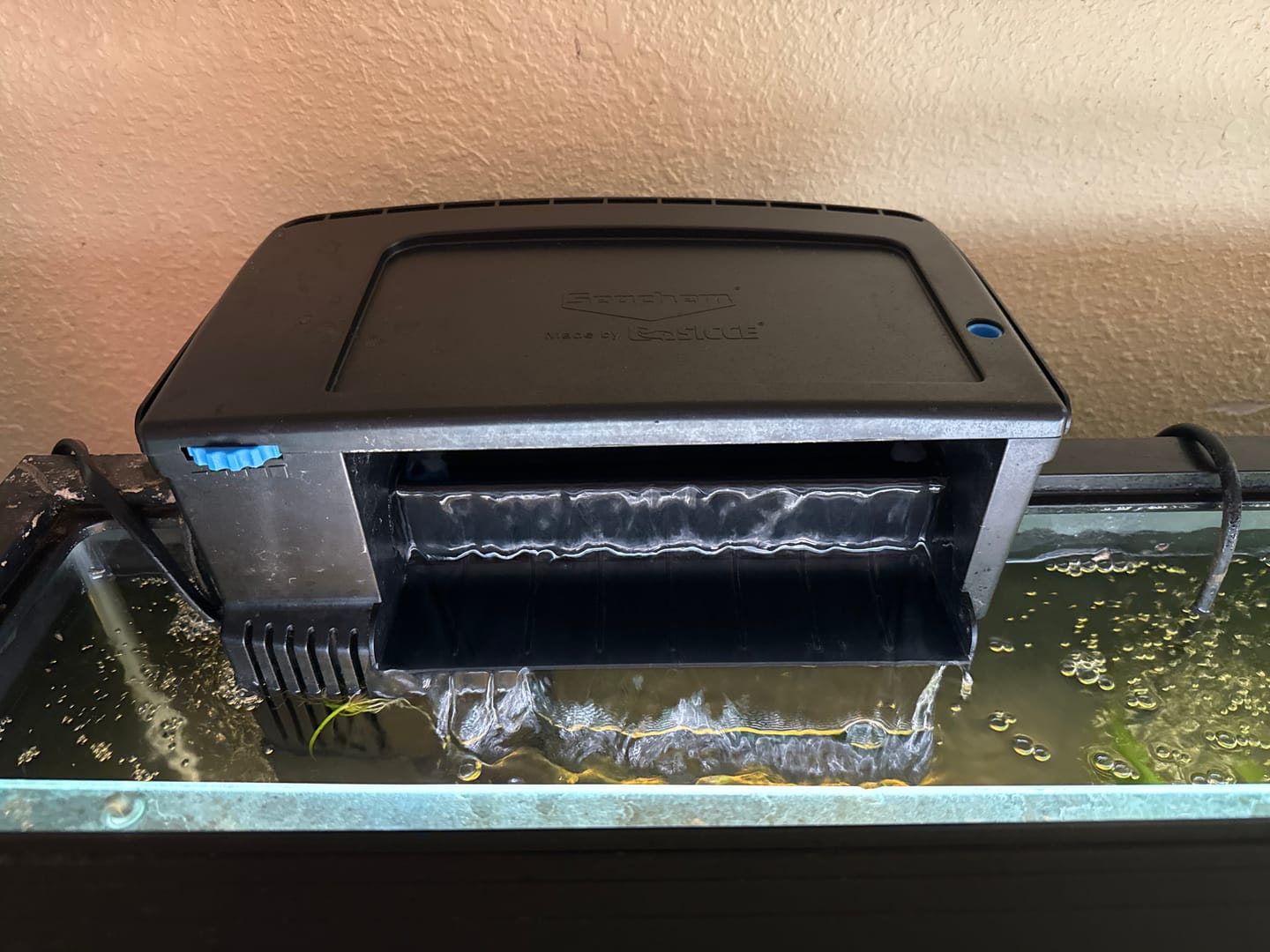 Customer photo review of Tidal Power Filters From Seachem/Sicce