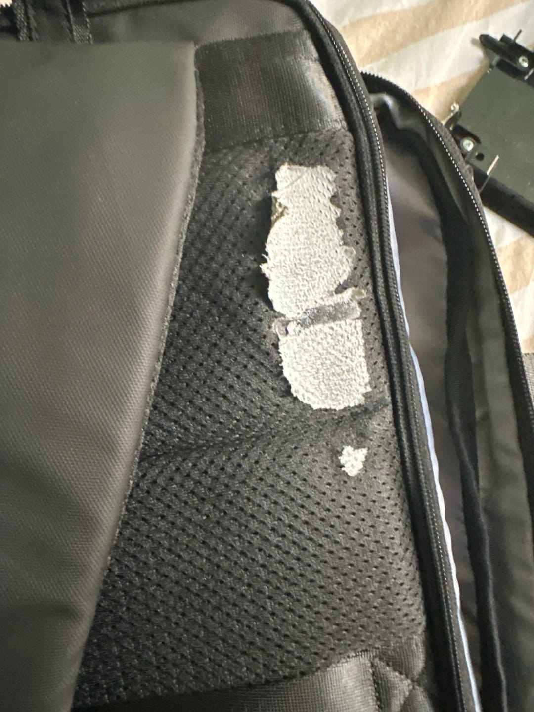 Customer photo review of Pathrato: Multi-layered Compartments With Minimalistic Design Backpacks
