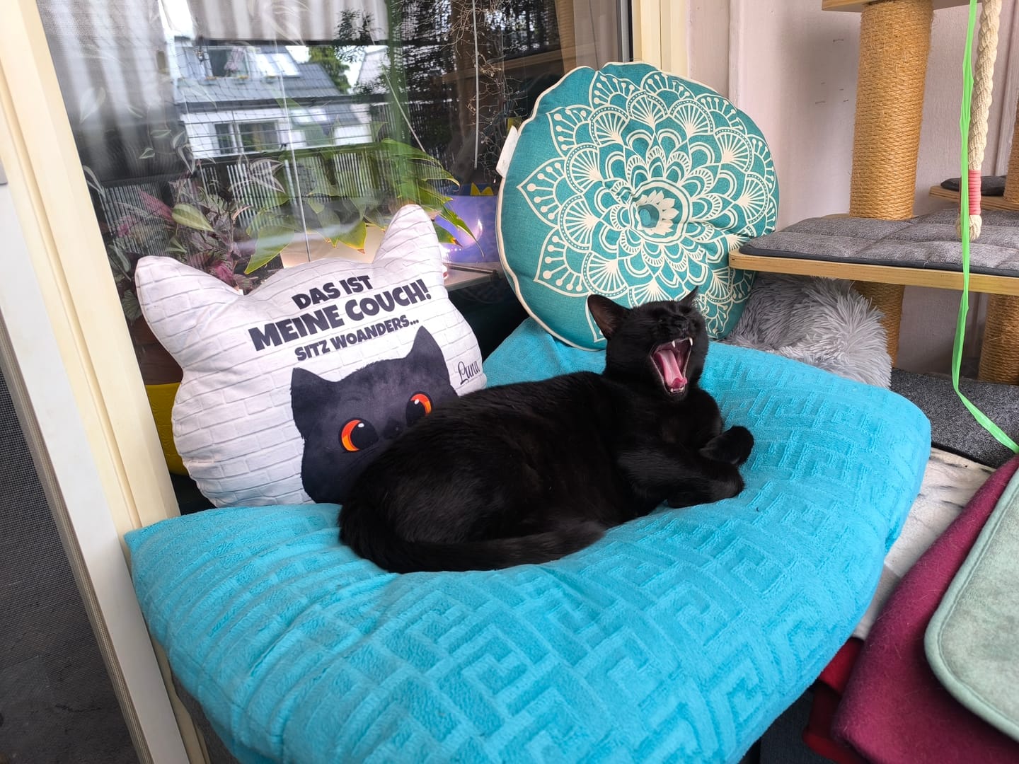 Customer photo review of Unsere Couch - Individuelles Formkissen