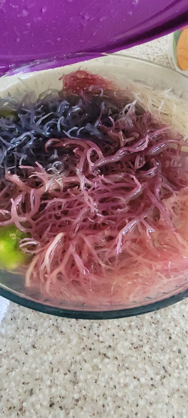 Customer photo review of Full Spectrum Irish Sea moss