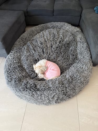 Customer photo review of PaWz Premium Calming Pet Bed with Removable Cover