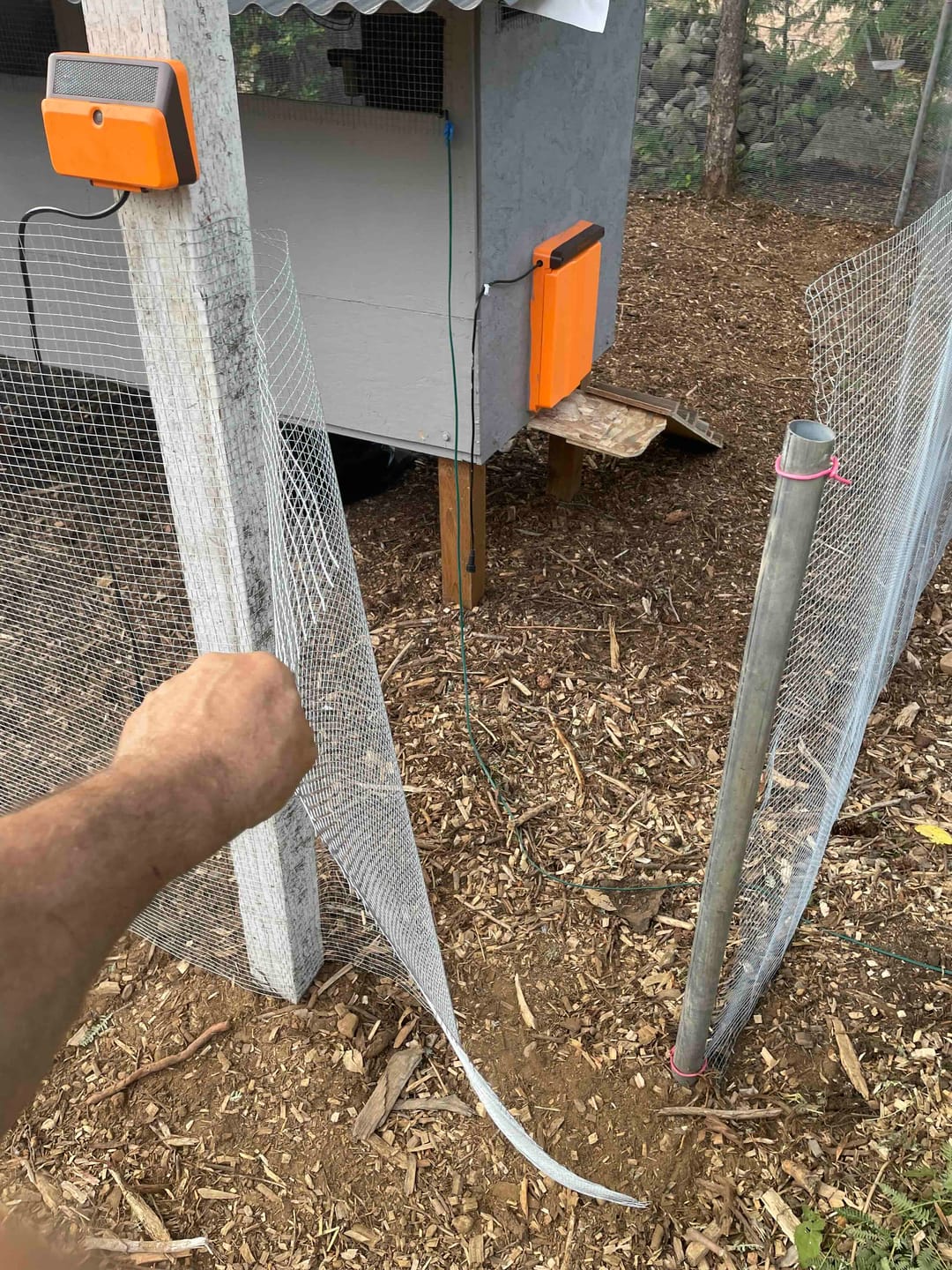 Customer photo review of Solar Automatic Chicken Coop Door